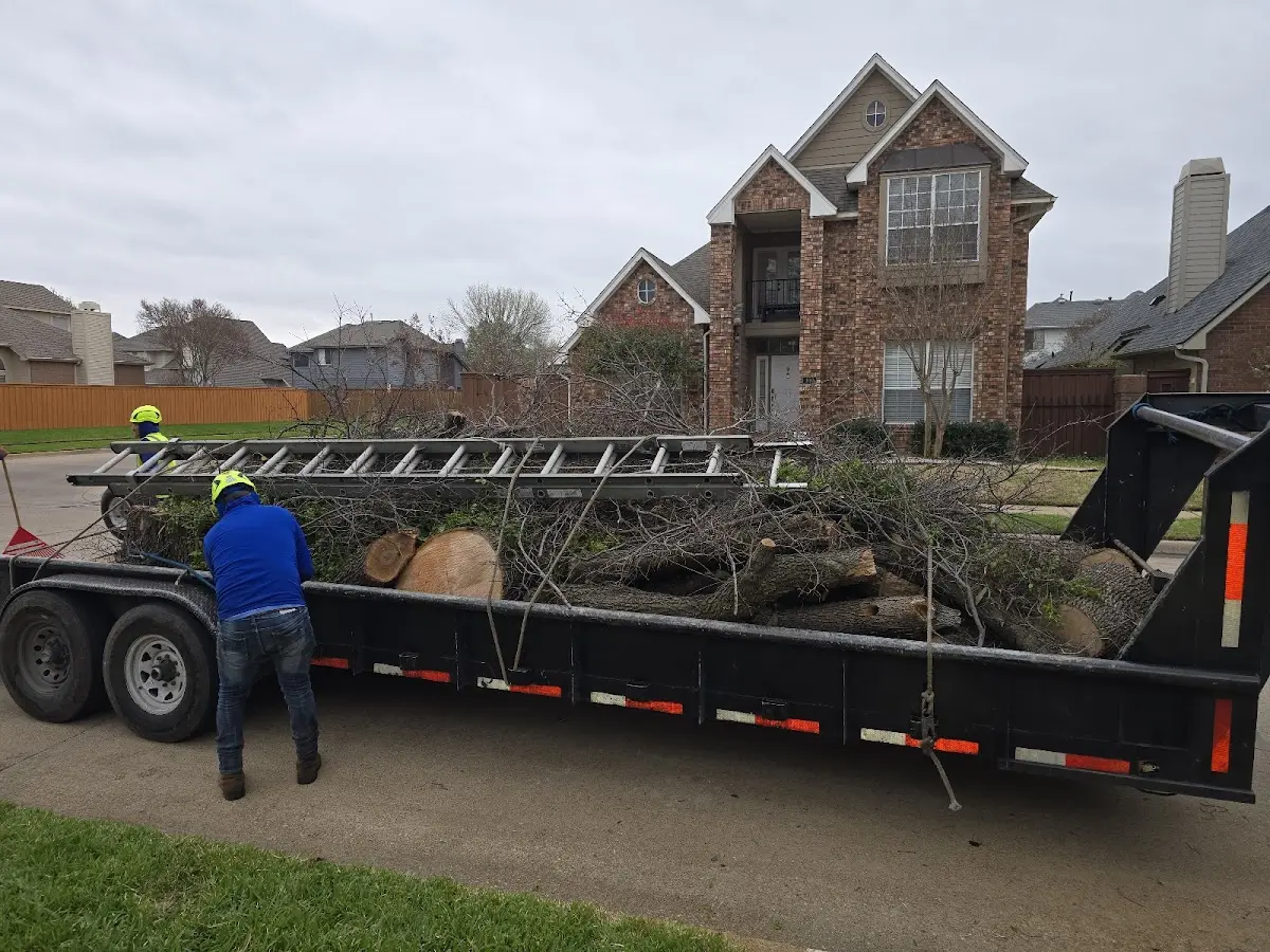 Expert Tree Pest Control with proper safety equipment in Kimmell